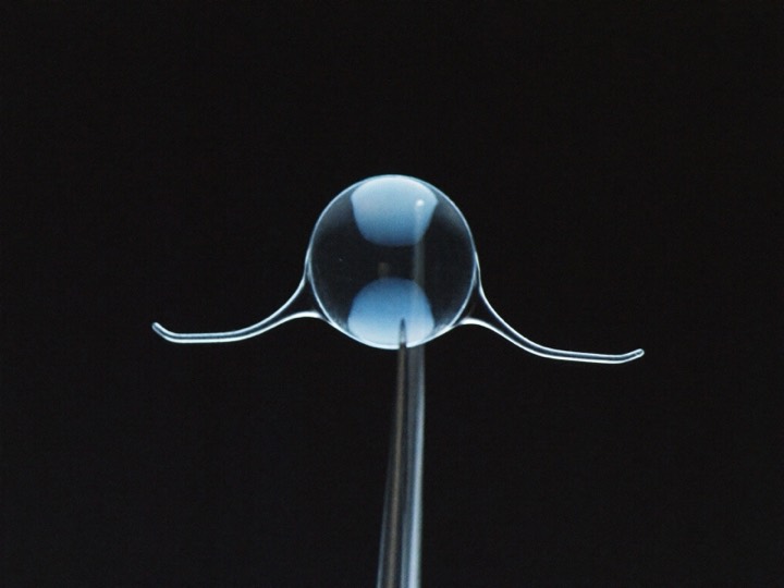 A transparent intraocular lens held on the tip of fine forceps